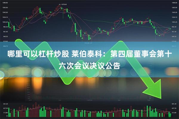 哪里可以杠杆炒股 莱伯泰科：第四届董事会第十六次会议决议公告