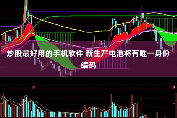 炒股最好用的手机软件 新生产电池将有唯一身份编码