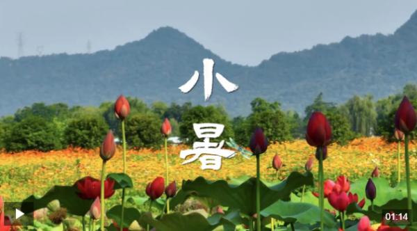 股票配资客服 文化中国行丨小暑，心向清凉好时节_大皖新闻 | 安徽网