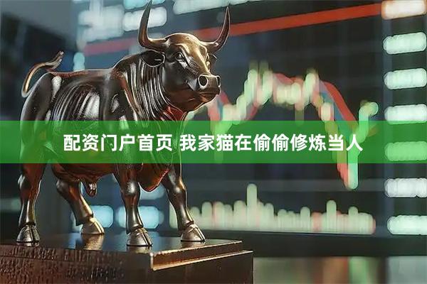 配资门户首页 我家猫在偷偷修炼当人