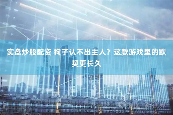 实盘炒股配资 狗子认不出主人？这款游戏里的默契更长久
